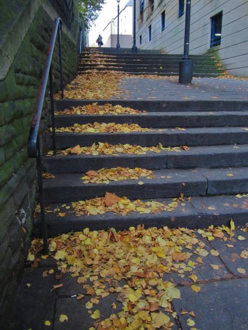 14910428_1582006881825001_4372852884612109372_n