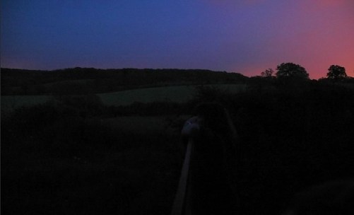 listening for nightingales